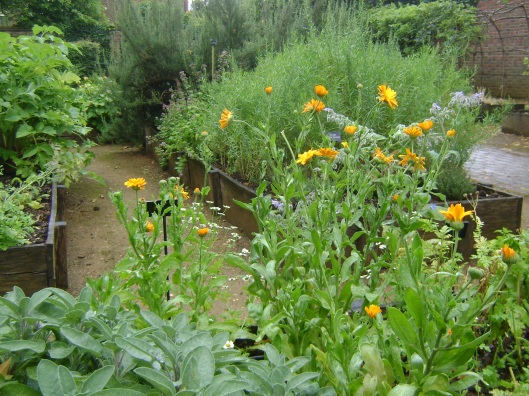 Elizabethan 'useful' garden